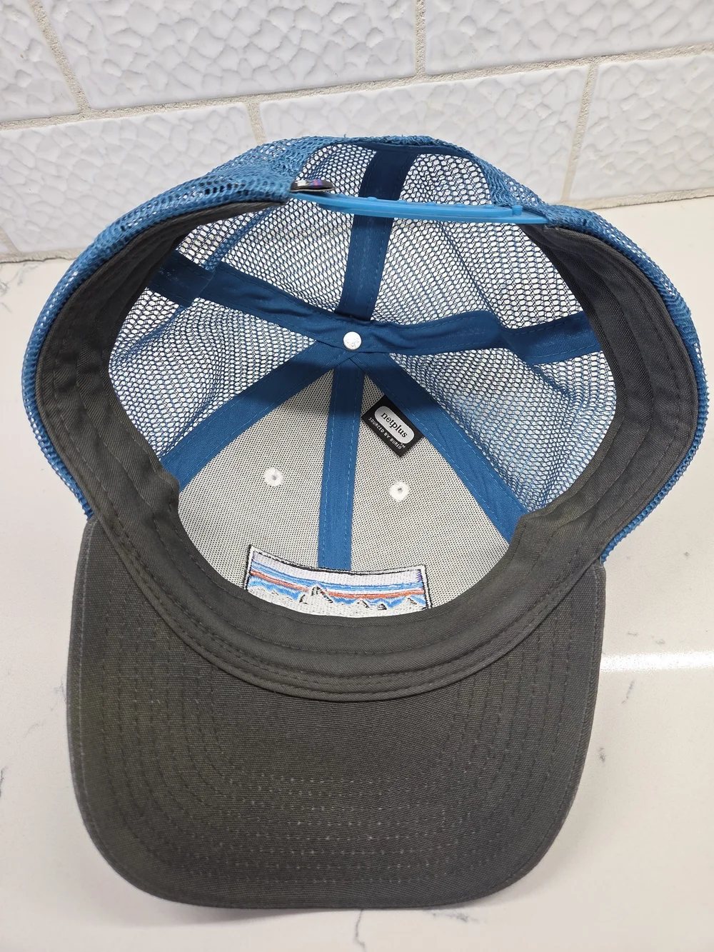 Patagonia P-6 Logo LoPro Trucker Hat - Blue & White
